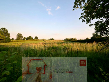 Działka Panieńszczyzna