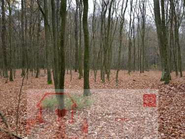 Działka Samoklęski