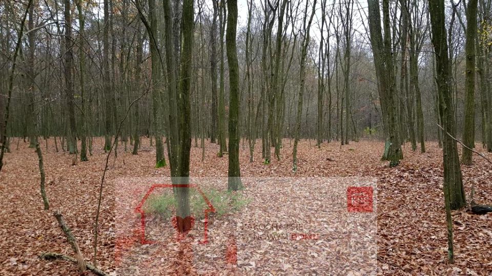 Działka Samoklęski