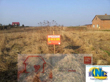 Działka Świdniczek