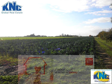 Działka przemysłowa Świdnik sprzedam