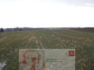 Działka budowlana Tomaszowice sprzedam