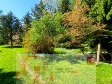 Działka Zemborzyce Tereszyńskie