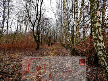 Działka Kazimierz Dolny