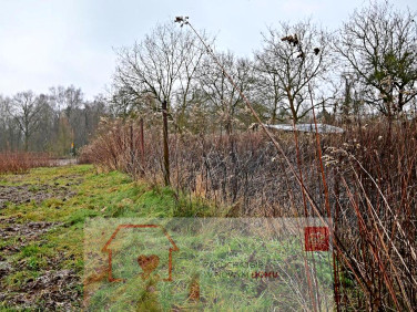 Działka Kazimierz Dolny