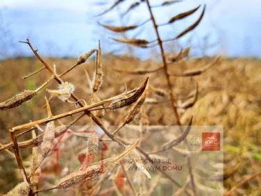 Działka Nałęczów