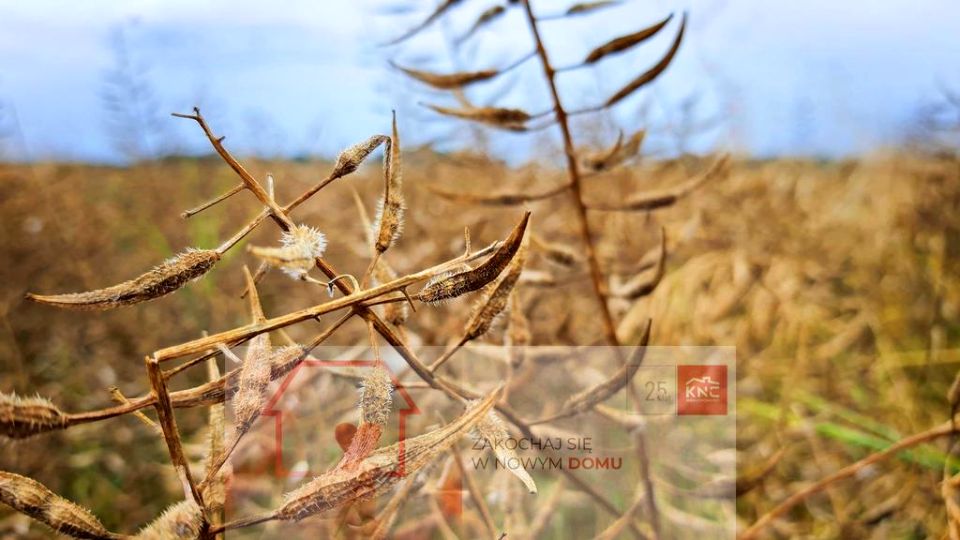 Działka Nałęczów