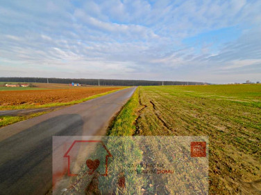 Działka Zemborzyce Podleśne