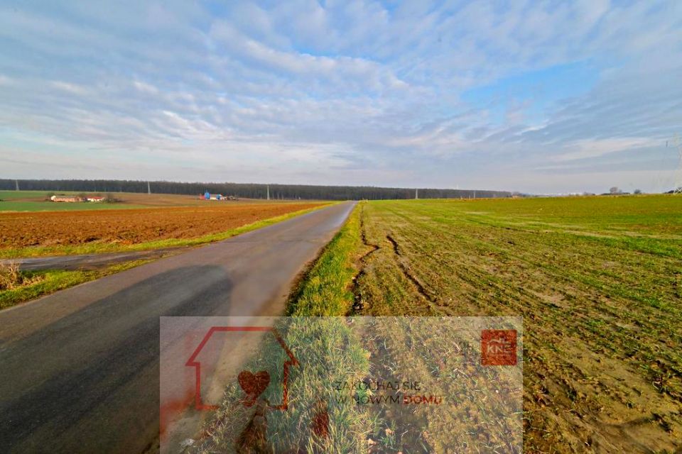 Działka Zemborzyce Podleśne