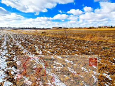 Działka Płouszowice-Kolonia