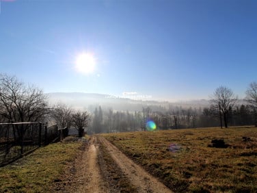Działka rolna Czerwienne