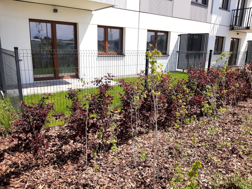 Mieszkanie Miękinia