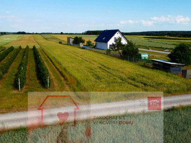 Działka Borów-Kolonia