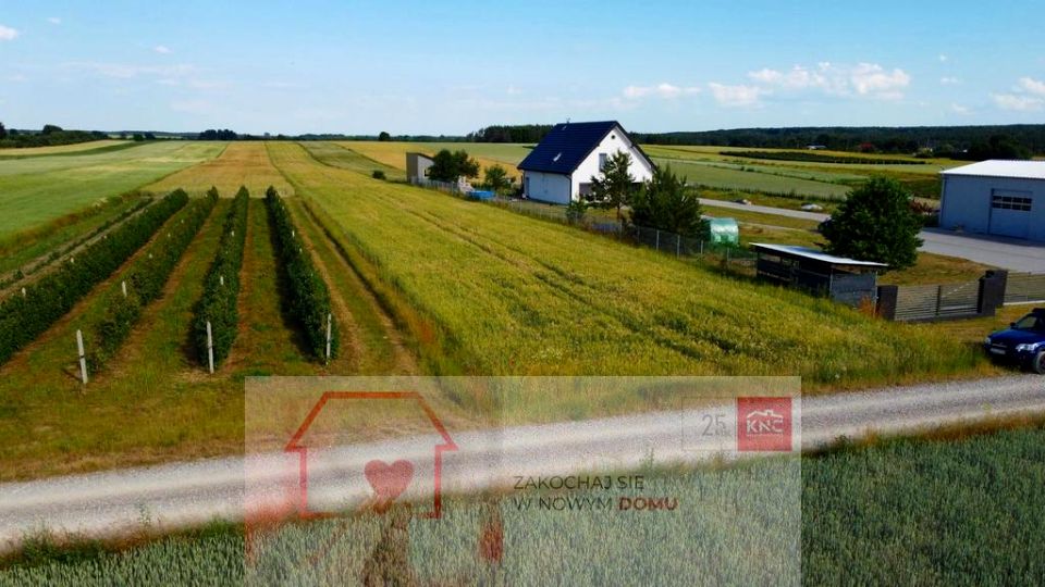 Działka Borów-Kolonia