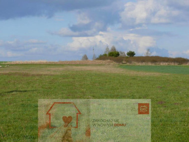 Działka rolna Przytoczno
