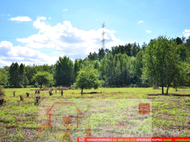 Działka rolna Pliszczyn