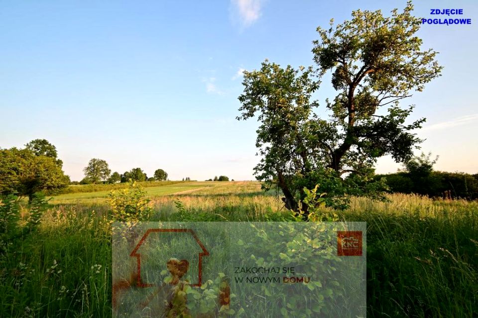 Działka Nałęczów