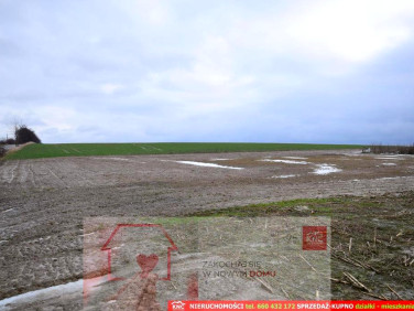 Działka budowlana Wierciszów