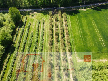 Działka Kamień-Kolonia