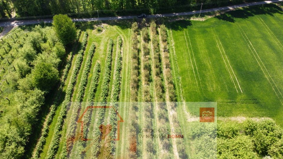 Działka Kamień-Kolonia