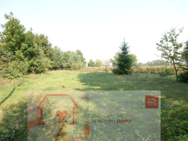 Działka budowlana Gołąb