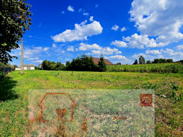 Działka nad jeziorem