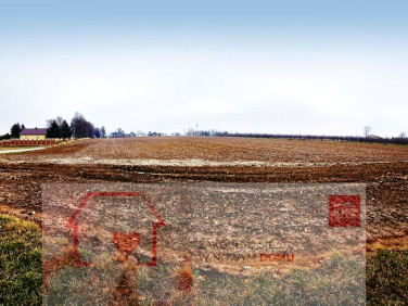 Działka Tomaszowice