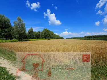 Działka Karczmiska Drugie