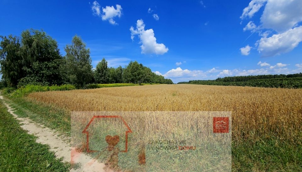 Działka Karczmiska Drugie