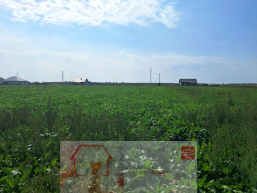 Działka Turowola-Kolonia