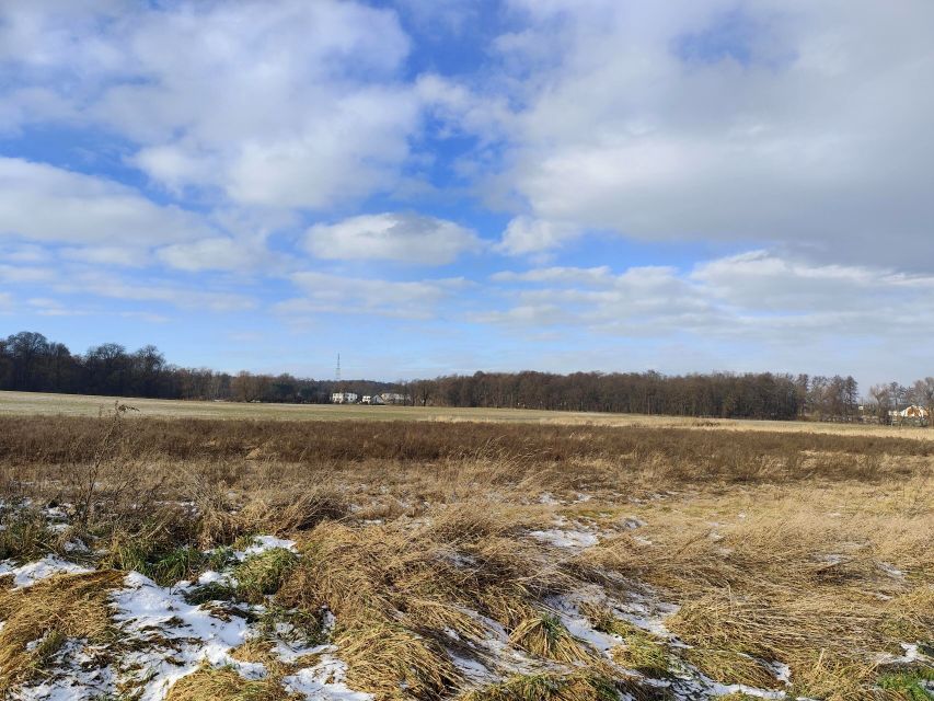 Pusta działka Lipce