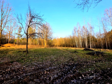 Działka inwestycyjna Kaniów