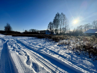 Działka budowlana Borowina