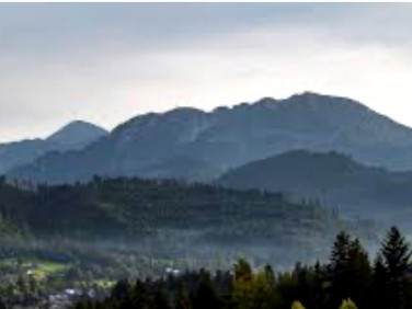 Działka rolna Kościelisko