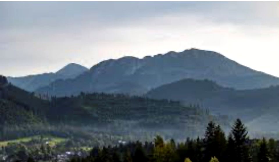 Działka rolna Kościelisko