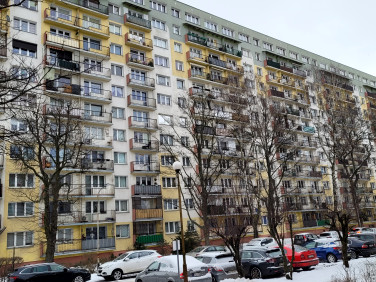 Mieszkanie Łódź wynajem