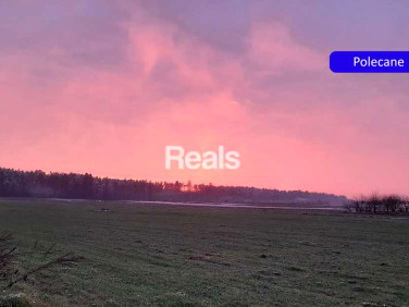 Działka siedliskowa sprzedam