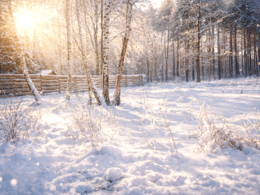 Działka budowlana Wiązowna