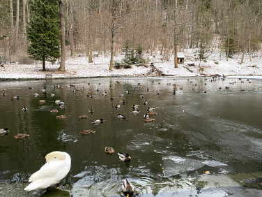 Działka Krynica-Zdrój