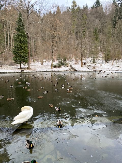 Działka Krynica-Zdrój