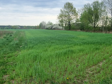 Działka budowlano-rolna Mała Wieś