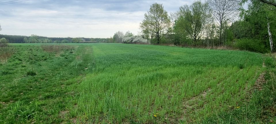 Działka budowlano-rolna Mała Wieś
