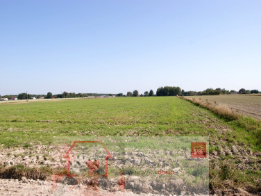 Działka rekreacyjna Krasne