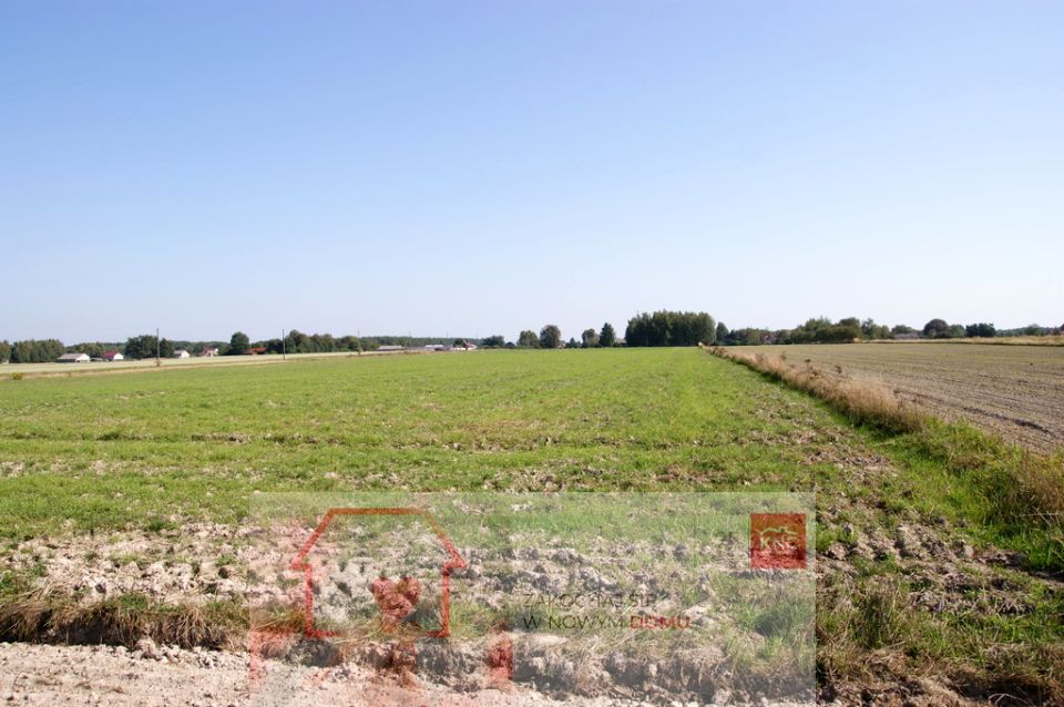 Działka rekreacyjna Krasne