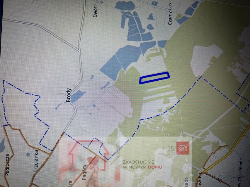 Działka leśna Brody