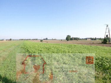 Działka Rudka Gołębska