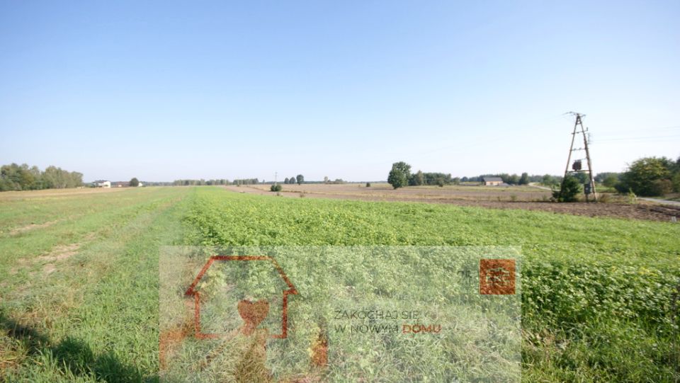 Działka Rudka Gołębska