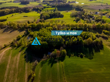 Działka siedliskowa Grabowska Huta