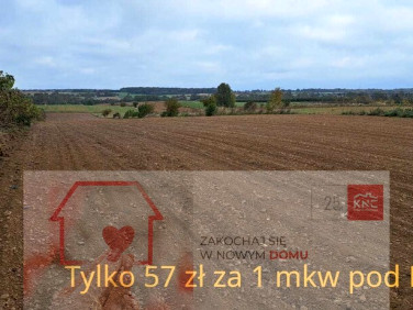 Działka budowlana Panieńszczyzna sprzedam