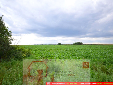 Działka usługowa Osmolice Pierwsze